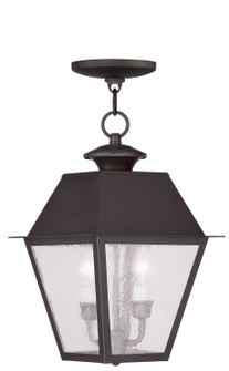 Mansfield Two Light Outdoor Pendant in Bronze (107|2167-07)