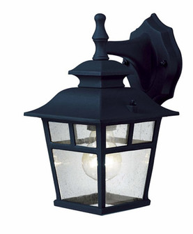 Fieldhouse One Light Outdoor Lantern in Black (387|IOL183TBK-C)