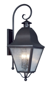 Amwell Four Light Outdoor Wall Lantern in Black (107|2558-04)