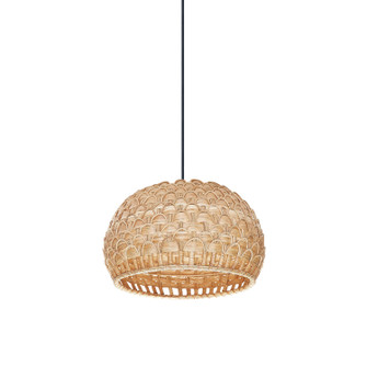 Tahiti One Light Pendant in Black (16|14411NABK)