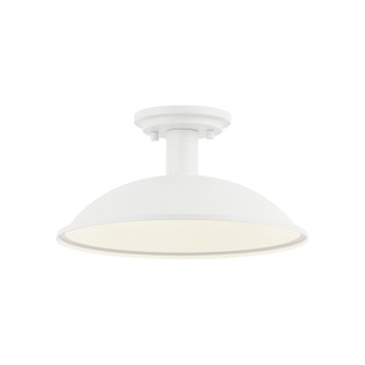 Farmley One Light Ceiling Mount (423|X81901MW)