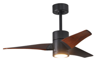 Super Janet 42''Ceiling Fan in Matte Black (101|SJ-BK-WN-42)