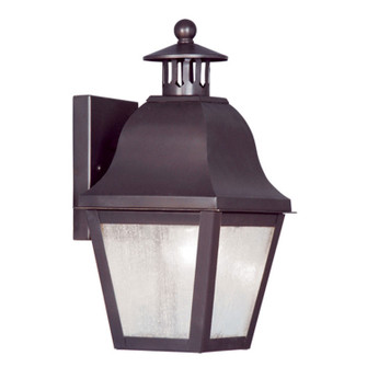 Amwell One Light Outdoor Wall Lantern in Bronze (107|2550-07)