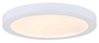 Led Disk Light LED Disk in White (387|DL-15C-30FC-WH-C)