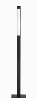 Task Portables LED Floor Lamp in Anodized Brushed Coal (42|P086-66F-L)