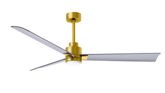 Alessandra 56''Ceiling Fan in Brushed Brass (101|AKLK-BRBR-BN-56)