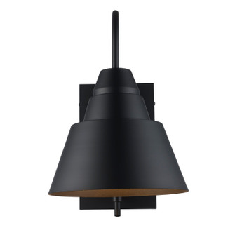 Rune One Light Outdoor Wall Mount in Black (110|51513 BK)