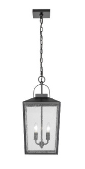 Devens Two Light Outdoor Hanging Lantern in Powder Coated Black (59|42655-PBK)