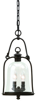 Owings Mill Two Light Hanging Lantern in Natural Bronze (67|F9466-TBK)