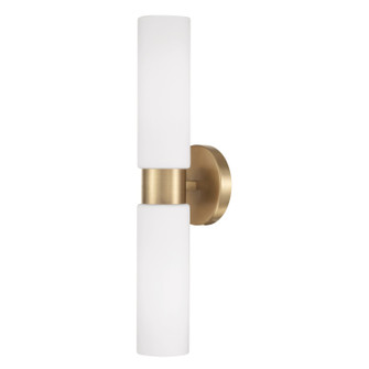 Theo Two Light Wall Sconce in Aged Brass (65|652621AD)