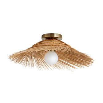Hayes One Light Sconce/ Ceiling Mount in Natural (314|45099)