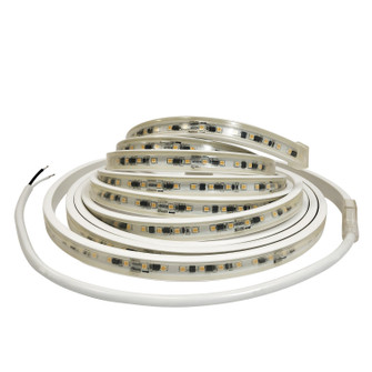 LED Tape Light in White (167|NUTP13-W22-8-12-927/HW)