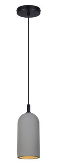 Jack One Light Pendant in Grey (387|IPL729B01BK-GY)
