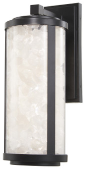 Salt Creek LED Outdoor Wall Sconce in Coal Black (7|8182-66A-L)
