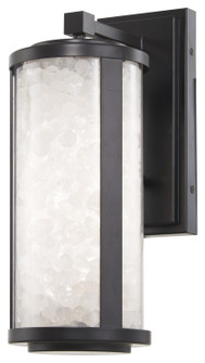 Salt Creek LED Outdoor Wall Sconce in Coal (7|8181-66A-L)