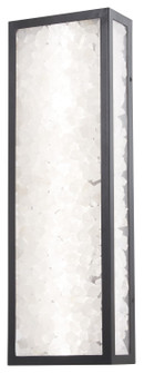 Salt Creek LED Outdoor Wall Sconce in Coal (7|8172-66A-L)