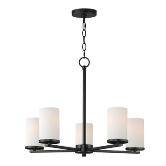 Lateral Five Light Chandelier in Black (16|10286SWBK)