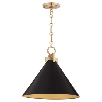 Jackson One Light Pendant in Matte Black w/ Aged Brass (19|68-16-5980)