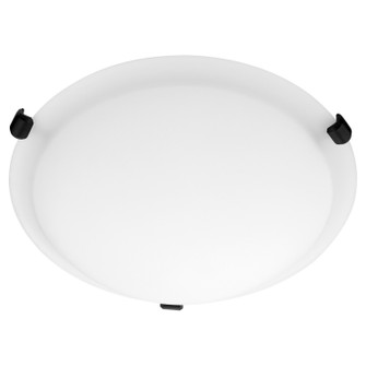 Satin Ceiling Mounts Two Light Ceiling Mount in Matte Black (19|3000-12159)