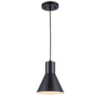 One Light Pendant in Black (110|PND-2202 BK)