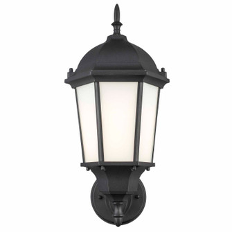 One Light Outdoor Wall Mount in Black (110|4095 BK-FR)