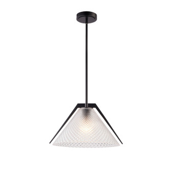 Baltic One Light Pendant in Black and Brushed Brass (78|AC11911BK)