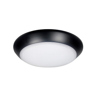 LED Surface Mount in Black (167|NLOPAC-R8T2430B)