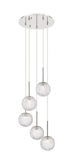 Barrington Five Light Mini Pendant in Polished Nickel (405|320-5P-PN-G320-6CL-PN)