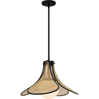 Quoizel Pendant One Light Pendant in Matte Black (10|QP6207MBK)