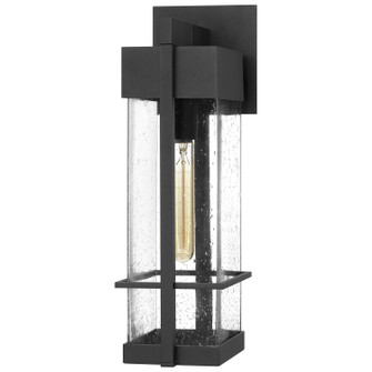 Wynn One Light Outdoor Wall Mount in Earth Black (10|WYN8406EK)