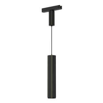 Continuum - Track LED Track Pendant in Black (86|ETL31022-BK)