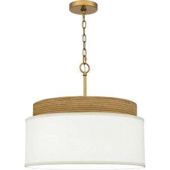 Quoizel Pendant Four Light Pendant in Brushed Gold (10|QP6757BRG)