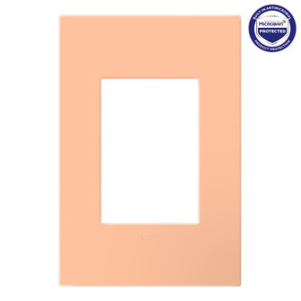 Wall Plate (246|AWP1G3PY)