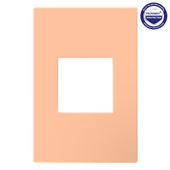 Wall Plate (246|AWP1G2PY)