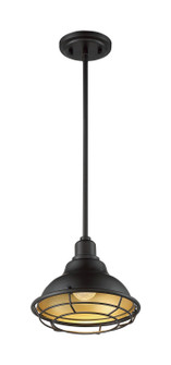 Newbridge One Light Pendant in Dark Bronze / Gold (72|60-7013)
