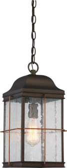 Howell One Light Hanging Lantern in Bronze / Copper (72|60-5836)