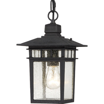 Cove Neck One Light Hanging Lantern in Textured Black (72|60-4956)