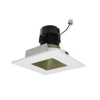 LED Retrofit Reflector in Champagne Haze / Matte Powder White (167|NPRLV-4SNDSQ27XCHMPW)