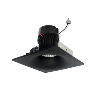 LED Bullnose Retrofit in Black (167|NPRLV-4SNBCDXBB)