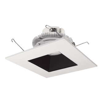 Retrofit Reflector in Black / White (167|NLCBC2-656TWBW/10)