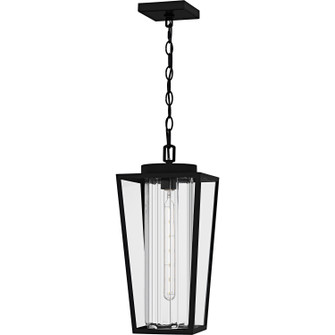 Jett One Light Outdoor Hanging Lantern in Matte Black (10|JET1909MBK)