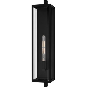 Dale One Light Outdoor Wall Lantern in Matte Black (10|DLE8406MBK)
