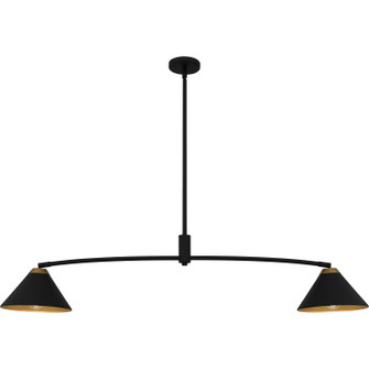 Alscott Two Light Linear Chandelier in Matte Black (10|ALS252MBK)
