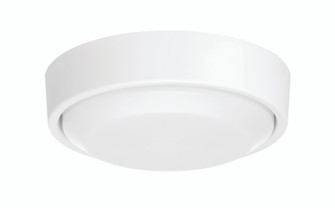 AMIGO 52 LIGHT KIT LED Fan Light Kit in White (46|AMG52LK-W-LED)