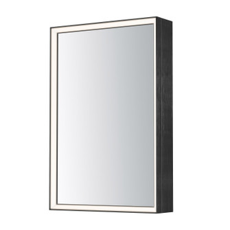 Bevel LED Mirror in Brushed Black (86|E42065-BBK)