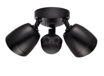 LED Outdoor Security Flood Light in Powder Coated Matte Black (59|M-18002-PBK)