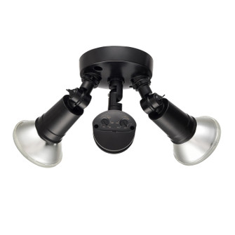 Two Light Outdoor Security Flood Light in Powder Coated Black (59|M-16002-PBK)