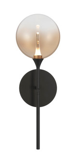 One Light Wall Sconce in Black (40|48912-013)