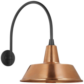 Academy Barn Light LED Barn Light in Matte Black (268|TOB 2815MBK/S2-SC)