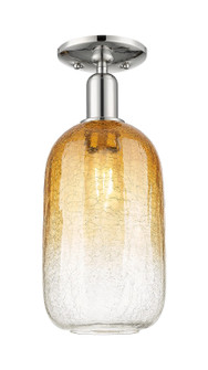 Arcadia One Light Semi-Flush Mount in Polished Nickel (405|716-1C-PN-G482-7AM)